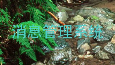 消息管理系统