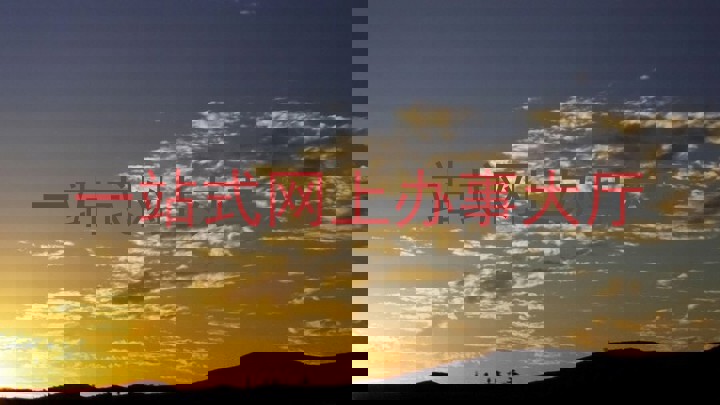 一站式网上办事大厅