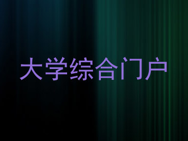大学综合门户