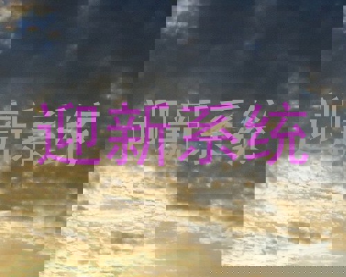 迎新系统