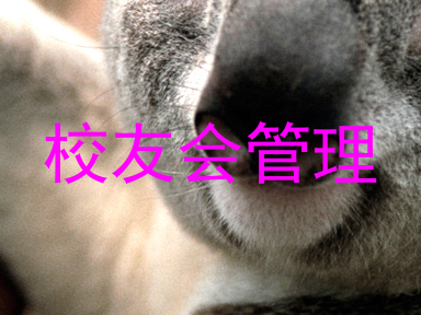 校友会管理