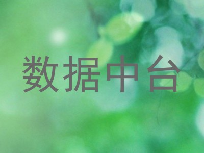数据中台