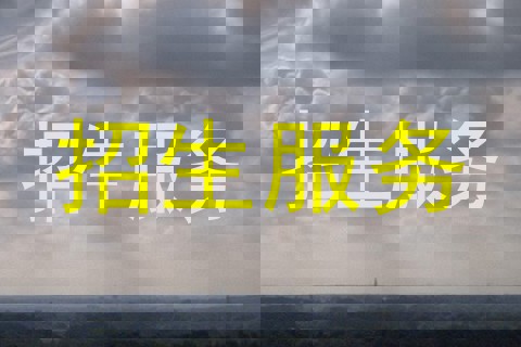 招生服务