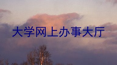 大学网上办事大厅