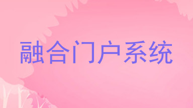 融合门户系统