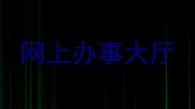 网上办事大厅
