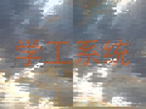 学工系统
