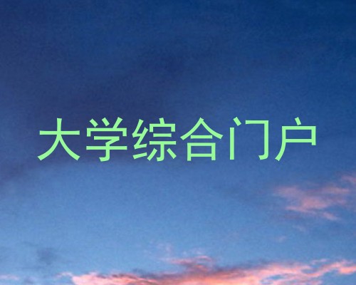 大学综合门户