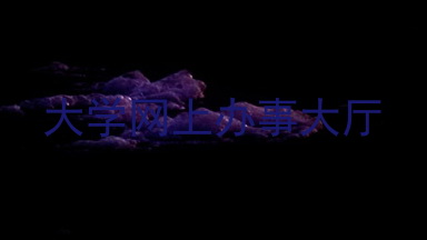 大学网上办事大厅