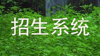 招生系统