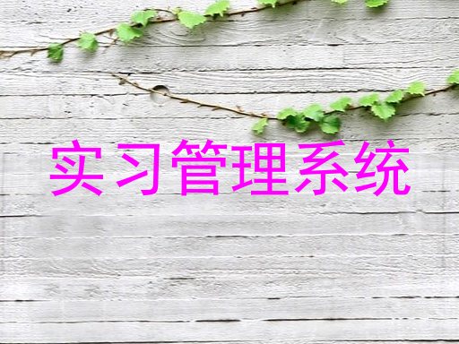 实习管理系统