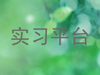 实习平台
