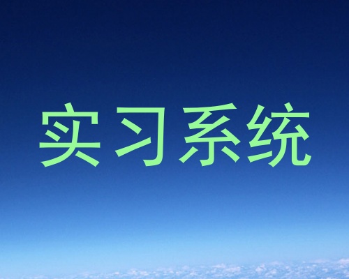 实习系统
