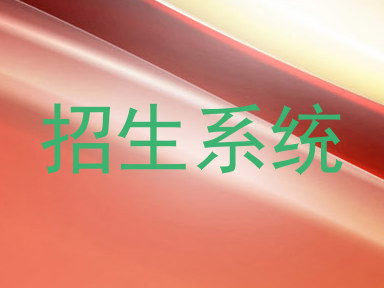 招生系统