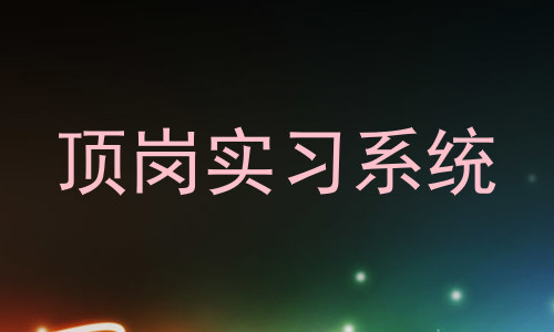 顶岗实习系统