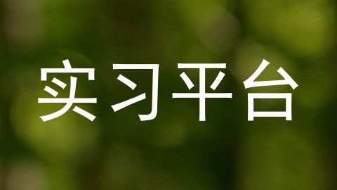 实习平台