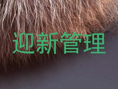 迎新管理