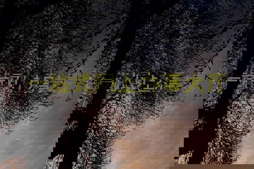 一站式网上办事大厅