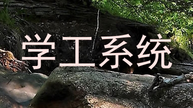 学工系统