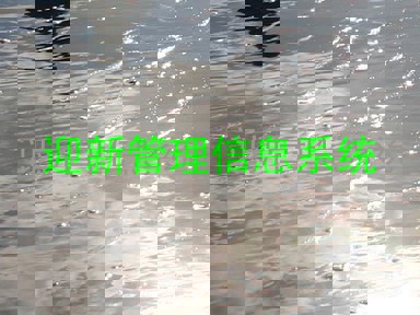 迎新管理信息系统