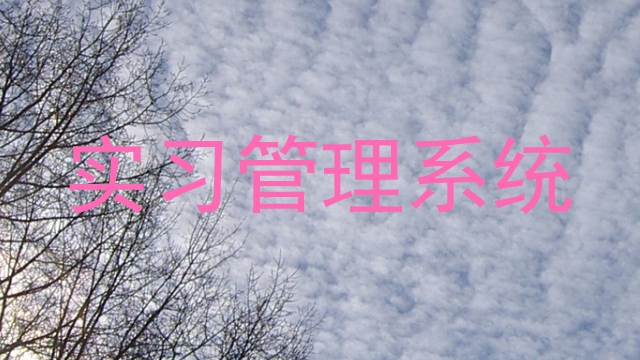 实习管理系统