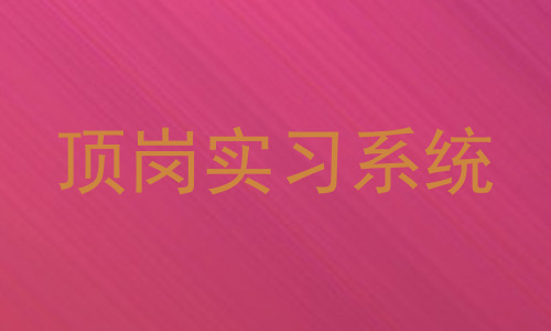 顶岗实习系统