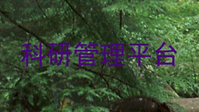 科研管理平台