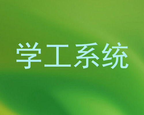 学工系统