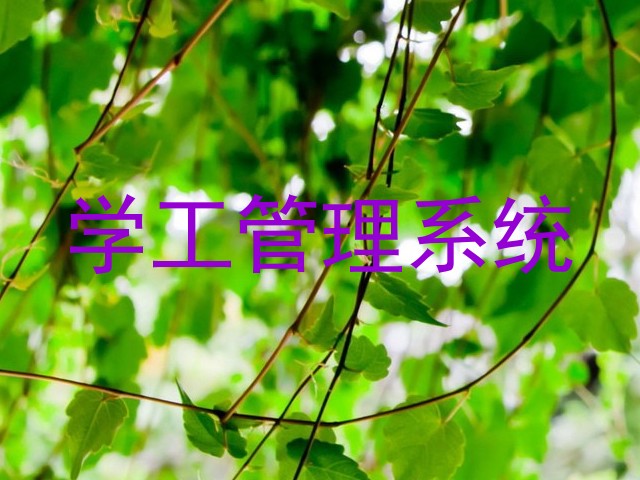 学工管理系统