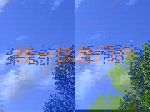 统一信息门户