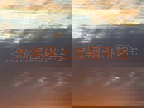 大学网上流程平台