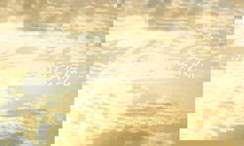 学生实习管理系统