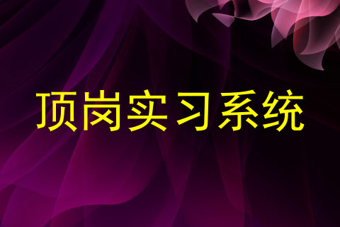 顶岗实习系统