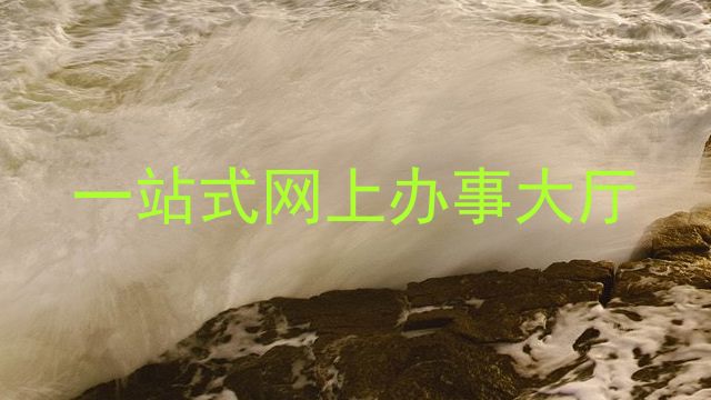 一站式网上办事大厅