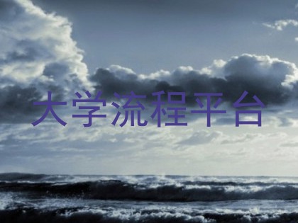 大学流程平台