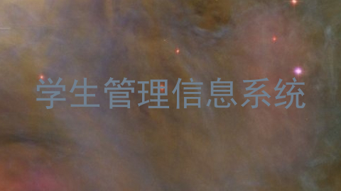 学生管理信息系统