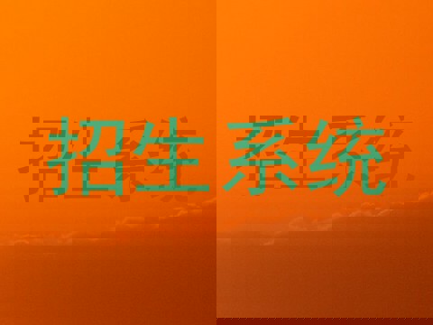 招生系统