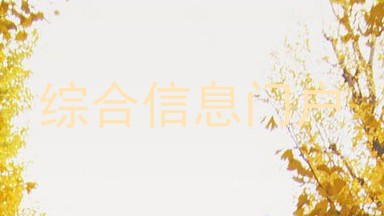 综合信息门户