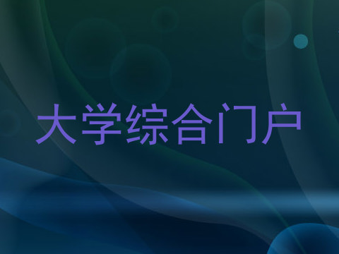 大学综合门户