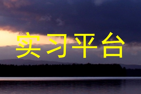 实习平台