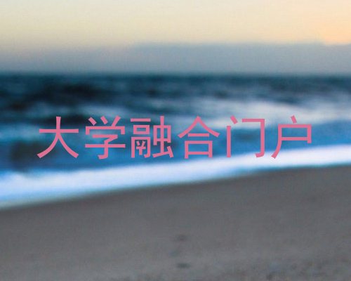 大学融合门户