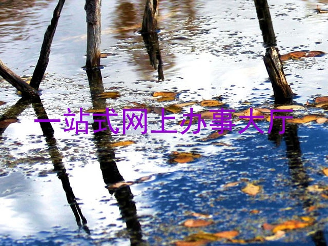 一站式网上办事大厅