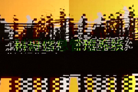 科研信息管理系统