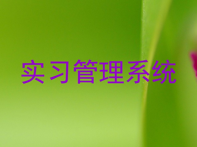 实习管理系统