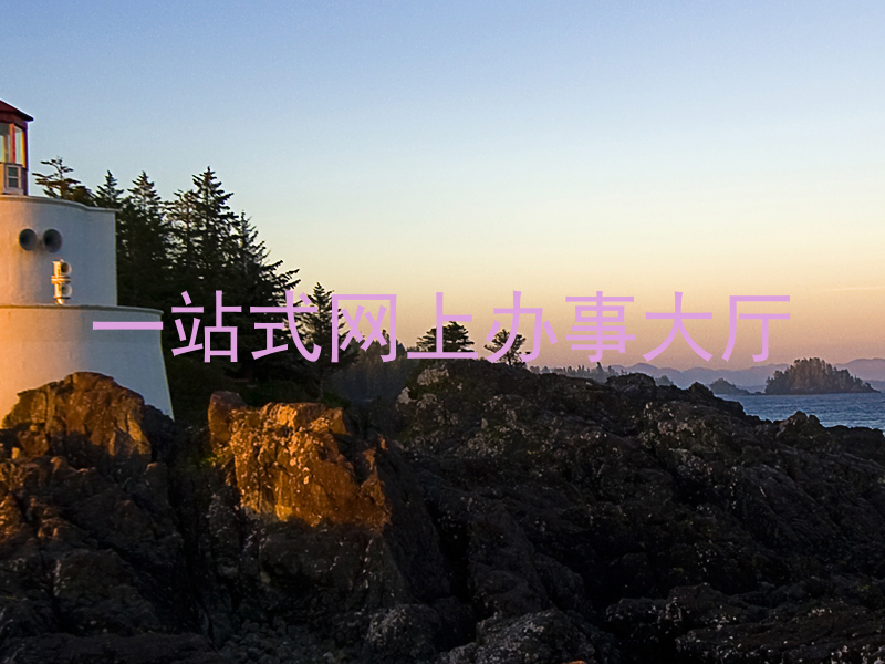 一站式网上办事大厅