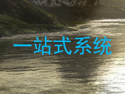 一站式系统