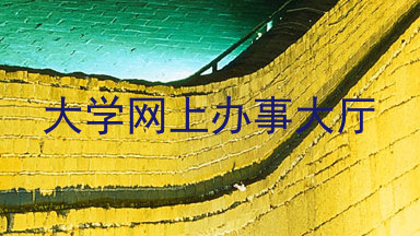 大学网上办事大厅