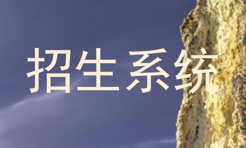 招生系统