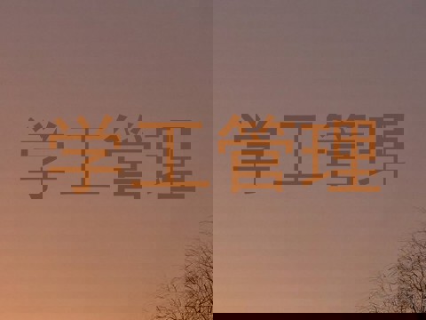 学工管理