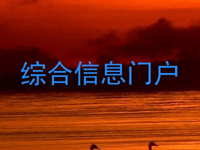 综合信息门户
